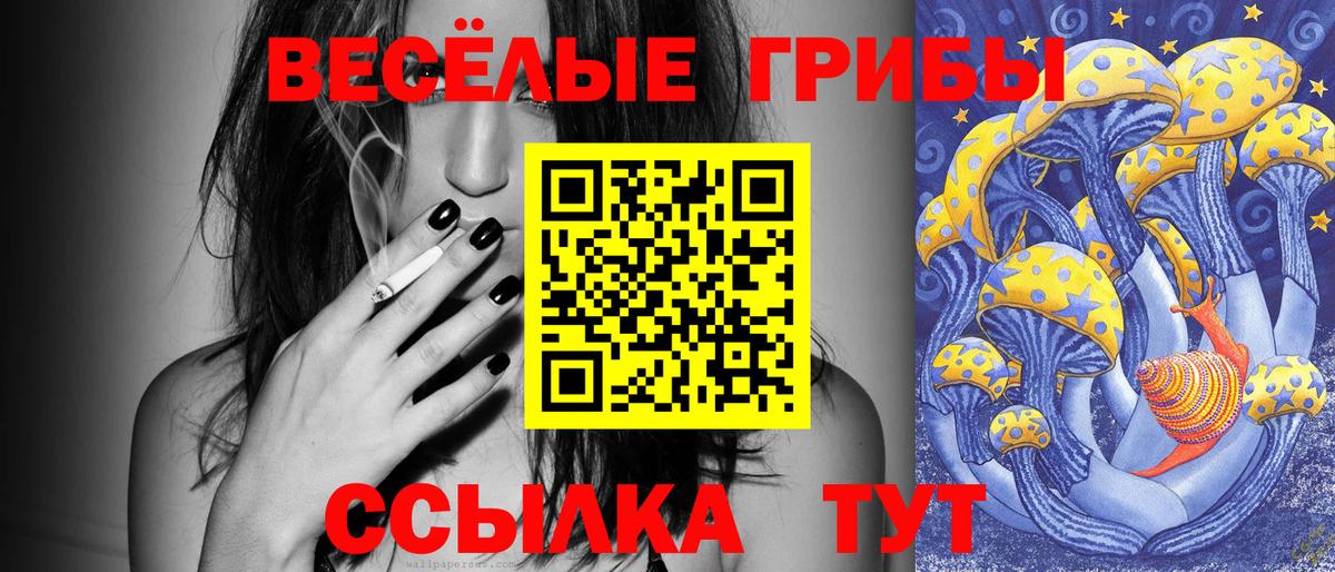 Псилоцибиновые грибы ЛСД  Галлюциногенные грибы Psilocybine cubensis  наркошоп  Вход с VPN  Норильск 